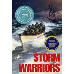 ISBN Storm Warriors