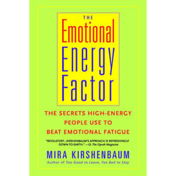 ISBN The Emotional Energy Factor livre