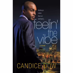 ISBN Feelin' the Vibe, Fiction, Anglais, Livre broché, 304 pages