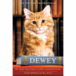 ISBN Dewey, Education, Anglais, Couverture rigide, 288 pages