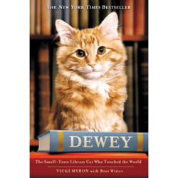 ISBN Dewey livre Education Anglais Couverture rigide
