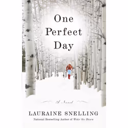 ISBN One Perfect Day, Anglais, Livre broché, 320 pages