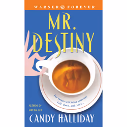 ISBN Mr. Destiny, Romance, Anglais, 336 pages