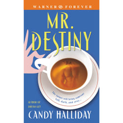 ISBN Mr. Destiny livre Romance Anglais 336 pages