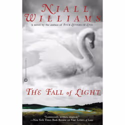 ISBN The Fall of Light, histoire, Anglais, Livre broché, 384 pages