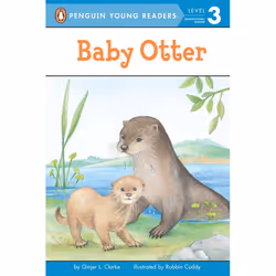 ISBN Baby Otter, Anglais, Livre broché, 48 pages
