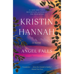 ISBN Angel Falls livre Anglais Livre broché 432 pages