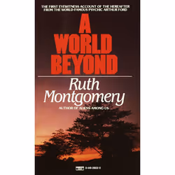 ISBN WORLD BEYOND, Édition de poche, 176 pages