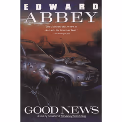 ISBN Good News, Anglais, Livre broché, 256 pages