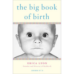 ISBN The Big Book of Birth livre