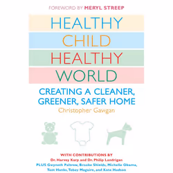 ISBN Healthy Child Healthy World, Livre broché, 336 pages