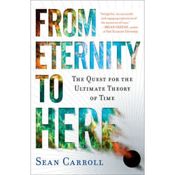 ISBN From Eternity to Here livre