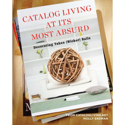 ISBN Catalog Living at Its Most Absurd livre