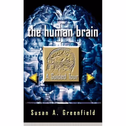 ISBN The Human Brain, Education, Anglais, Livre broché, 176 pages