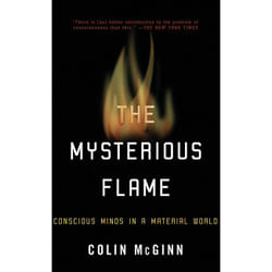 ISBN The Mysterious Flame livre philosophie Anglais
