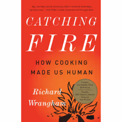 ISBN Catching Fire, Science & nature, Anglais, Livre broché, 320 pages