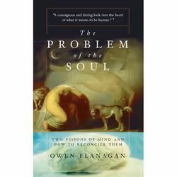 ISBN The Problem Of The Soul, Education, Anglais, Livre broché, 384 pages