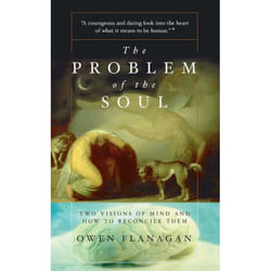 ISBN The Problem Of The Soul livre Education Anglais Livre broché 384 pages