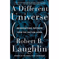 ISBN A Different Universe, Science & nature, Anglais, Livre broché, 272 pages