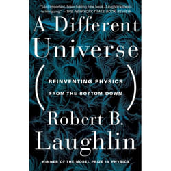 ISBN A Different Universe livre Science & nature Anglais
