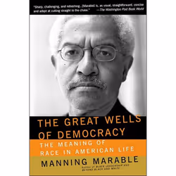 ISBN The Great Wells Of Democracy, Science & nature, Anglais, Livre broché, 384 pages