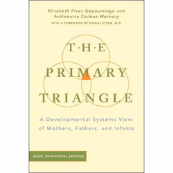 ISBN The Primary Triangle, Education, Anglais, Couverture rigide, 256 pages