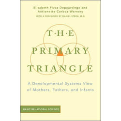 ISBN The Primary Triangle livre Education Anglais Couverture rigide 256 pages