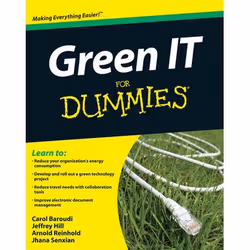 ISBN Green IT For Dummies, Anglais, Livre broché, 384 pages