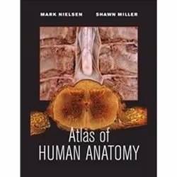 ISBN Atlas of Human Anatomy, First Edition, Anglais, 416 pages