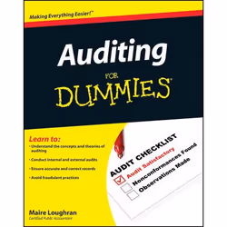 ISBN Auditing For Dummies, Anglais, Livre broché, 384 pages