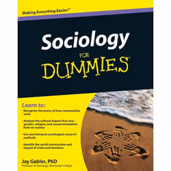 ISBN Sociology For Dummies, Anglais, Livre broché, 384 pages