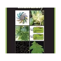 ISBN Molecular Plant Immunity, Science & nature, Anglais, Couverture rigide, 304 pages