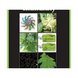 ISBN Molecular Plant Immunity livre Science & nature Anglais Couverture rigide