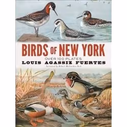 ISBN Birds of New York, Art &amp; design, Anglais, 112 pages