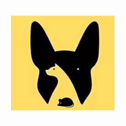ISBN Noma Bar : Graphic Story Telling, Art &amp; design, Anglais, Livre broché, 400 pages