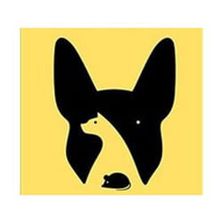 ISBN Noma Bar : Graphic Story Telling livre Art & design Anglais
