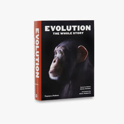 ISBN Evolution: The Whole Story livre