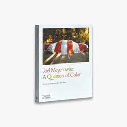ISBN Joel Meyerowitz: A Question of Color livre