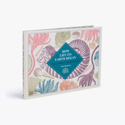 ISBN How Life on Earth Began livre