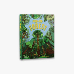ISBN Pop-Up Forest livre