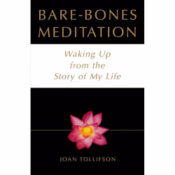 ISBN Bare-Bones Meditation, Livre broché, 260 pages