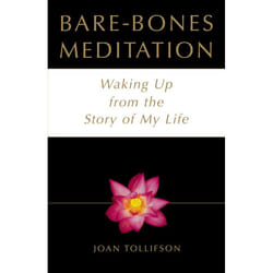 ISBN Bare-Bones Meditation livre