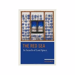 ISBN Red Sea: In Search of Lost Space, politique, Anglais, 248 pages
