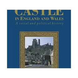 ISBN Medieval Castle in England and Wales : A Political and Social History livre histoire Anglais