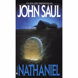 ISBN NATHANIEL, Mystère et suspense, Anglais, Édition de poche, 384 pages