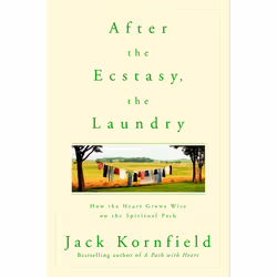 ISBN After the Ecstasy, the Laundry, Livre broché, 336 pages