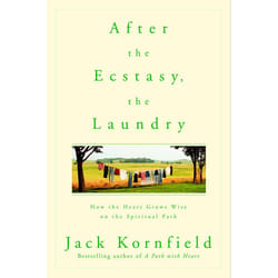 ISBN After the Ecstasy, the Laundry livre