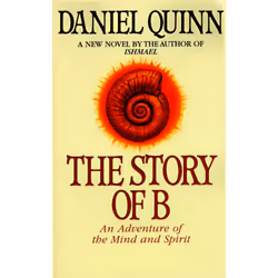 ISBN The Story of B, Anglais, Livre broché, 352 pages