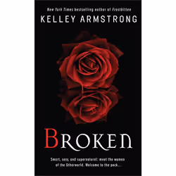 ISBN Broken, Édition de poche, 480 pages