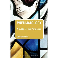 ISBN Pneumatology: A Guide for the Perplexed